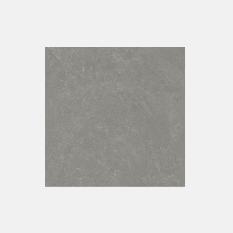 Tile | 800x800 | Matt Finish | 80NS1232