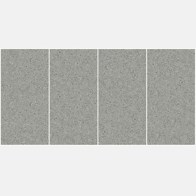 Tile | 600x1200 | terrazzo | JH12701