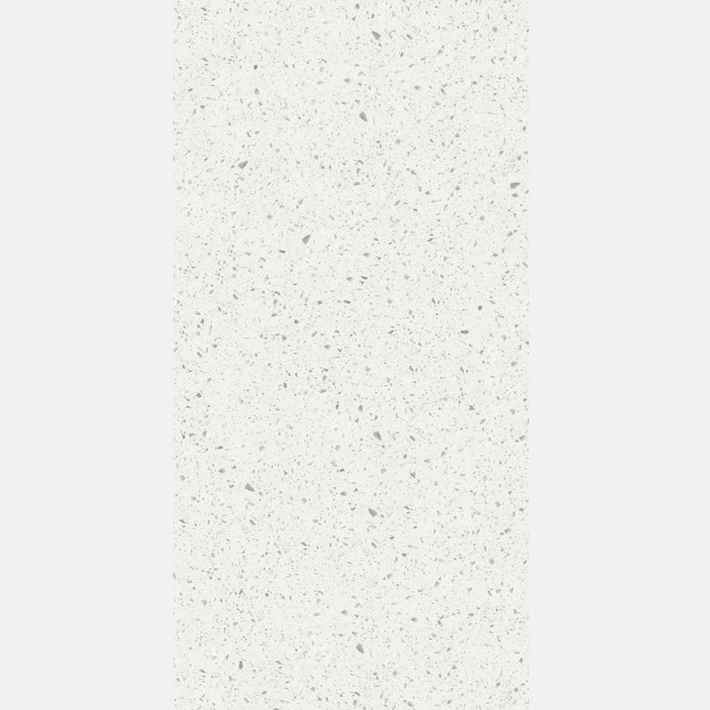Tile | 600x1200 | terrazzo | JH12702