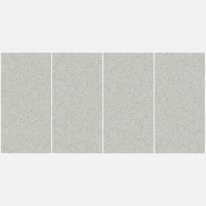 Tile | 600x1200 | terrazzo | JH12704