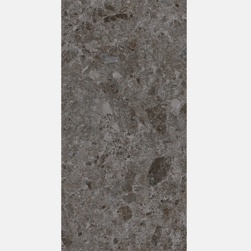 Tile | 600x1200 | Terrazzo | MF12609