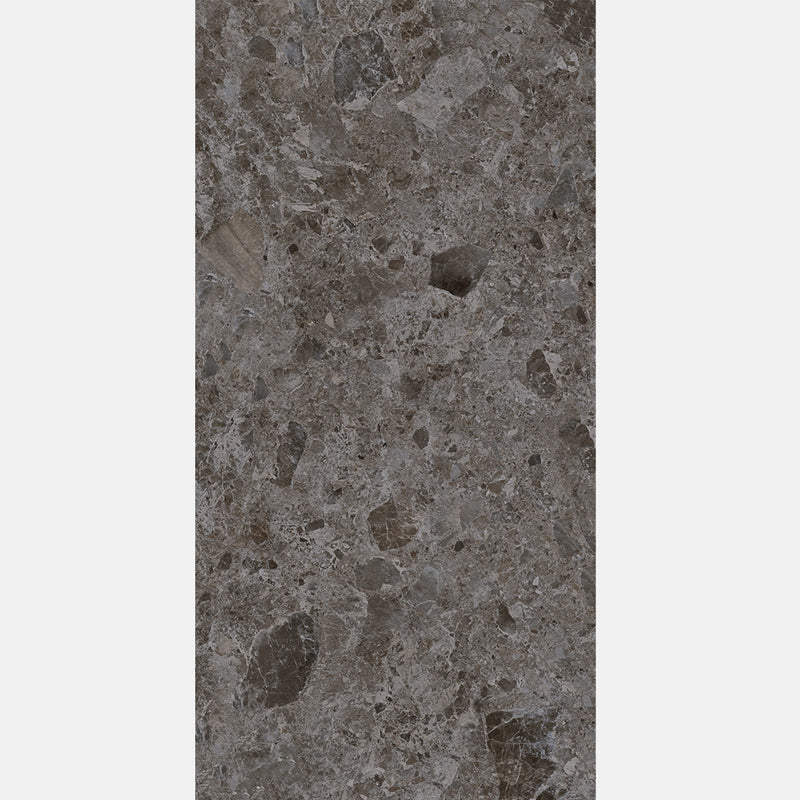Tile | 600x1200 | Terrazzo | MF12609