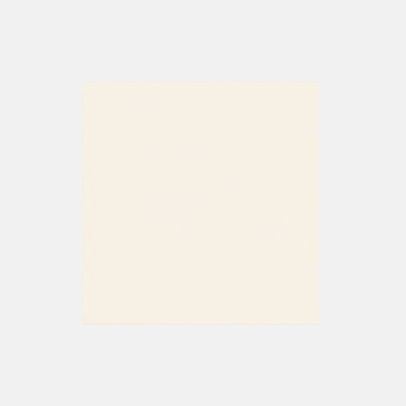 Tile | 800x800 | Matt Finish | NS830M