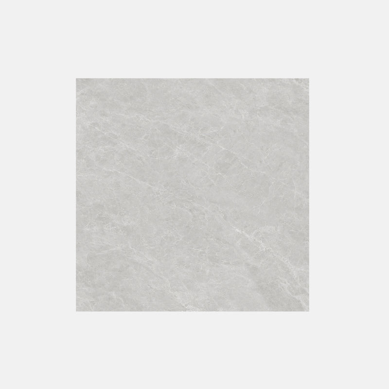 Tile | 800x800 | Matt Finish | NS832M