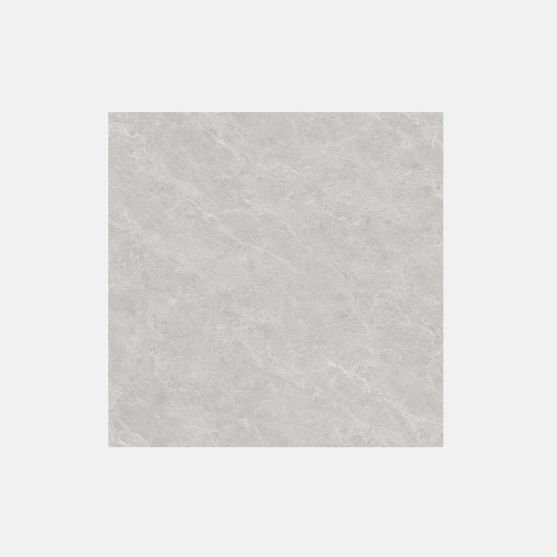 Tile | 800x800 | Matt Finish | NS832M