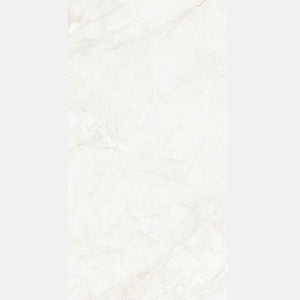 Tile | 600x1200 | SaRiLang | SN-JSR612920